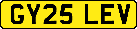 GY25LEV