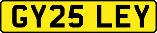 GY25LEY