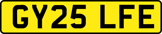 GY25LFE