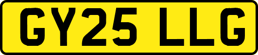 GY25LLG