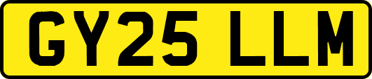 GY25LLM