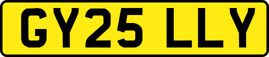 GY25LLY