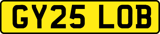 GY25LOB