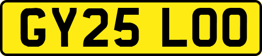 GY25LOO