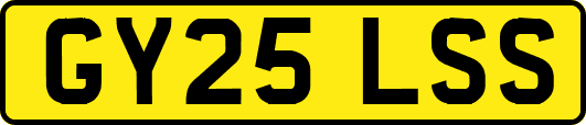 GY25LSS