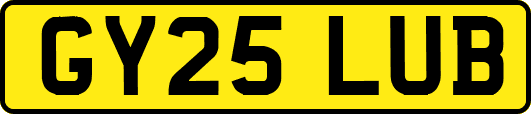 GY25LUB