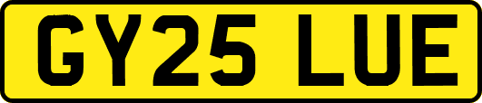 GY25LUE