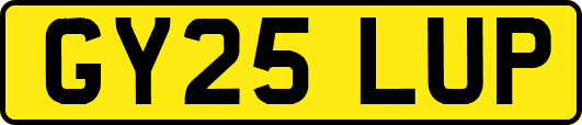 GY25LUP