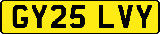 GY25LVY