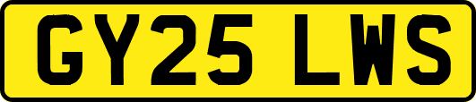 GY25LWS