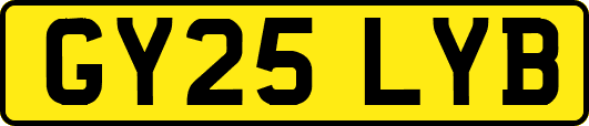 GY25LYB