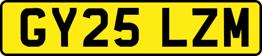 GY25LZM