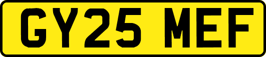GY25MEF