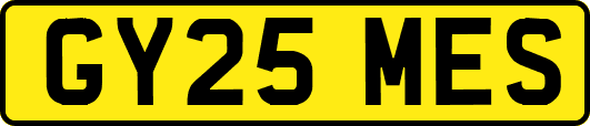 GY25MES