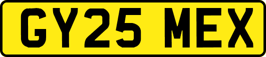 GY25MEX