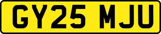 GY25MJU