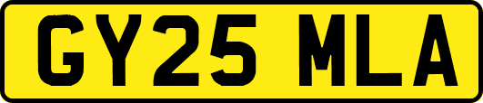 GY25MLA