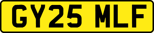 GY25MLF