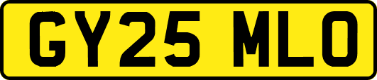 GY25MLO