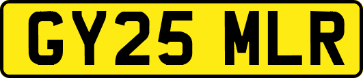 GY25MLR