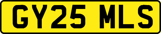 GY25MLS
