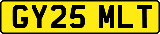 GY25MLT