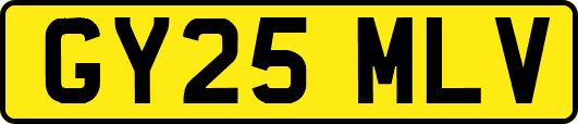 GY25MLV