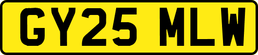 GY25MLW