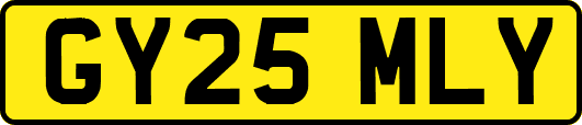 GY25MLY