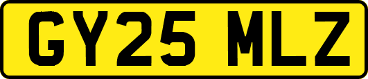 GY25MLZ