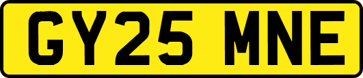 GY25MNE