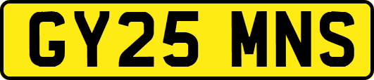 GY25MNS