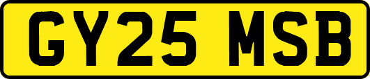 GY25MSB