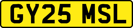 GY25MSL