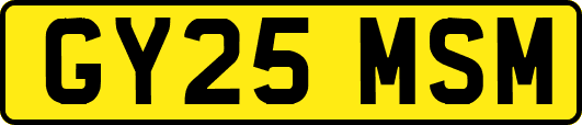 GY25MSM