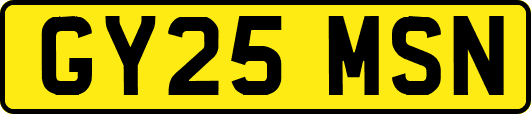 GY25MSN