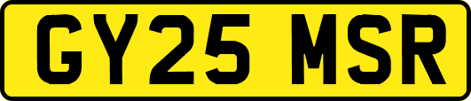 GY25MSR
