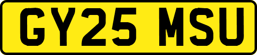 GY25MSU