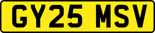 GY25MSV