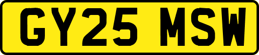 GY25MSW