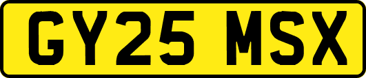 GY25MSX