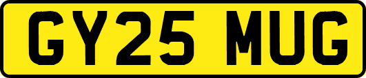 GY25MUG