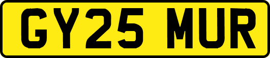 GY25MUR