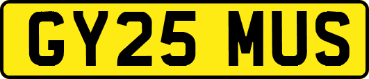 GY25MUS