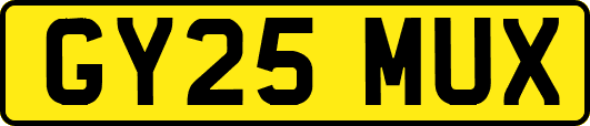 GY25MUX