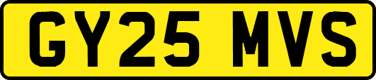 GY25MVS