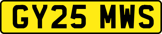 GY25MWS