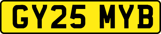 GY25MYB