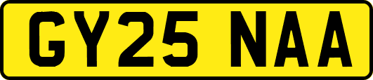 GY25NAA