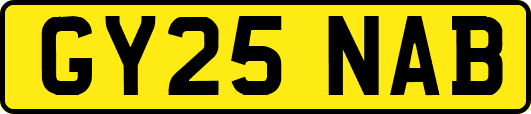 GY25NAB